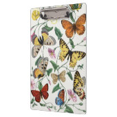 Porte-bloc Study of Diurnal butterflies by Paul Gervais (Gauche)