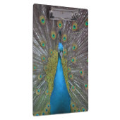 Porte-bloc Stunning (Swatch)