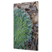Porte-bloc Succulent plante du désert (Gauche)