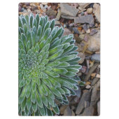 Porte-bloc Succulent plante du désert (Dos)