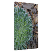 Porte-bloc Succulent plante du désert (Swatch)
