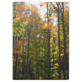 Porte-bloc Sunlit Fall Forest Paysage d'automne (Dos)