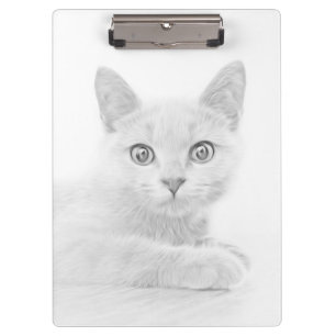 Porte-bloc SUPER CUTE Kitten Cat Portrait