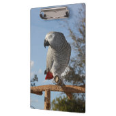 Porte-bloc Superbe perroquet gris africain (Gauche)