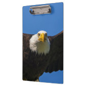 Porte-bloc Survol de pygargue à tête blanche de près (Gauche)