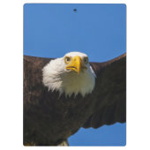 Porte-bloc Survol de pygargue à tête blanche de près (Dos)