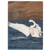 Porte-bloc Swan (Dos)