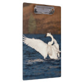 Porte-bloc Swan (Swatch)