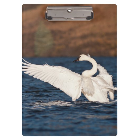 Porte-bloc Swan (Devant)