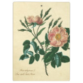 Porte-bloc Sweet Briar Rose (Dos)