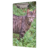 Porte-bloc Tabby Chat Brown à l'extérieur (Gauche)