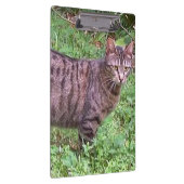 Porte-bloc Tabby Chat Brown à l'extérieur (Swatch)