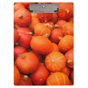 Porte-bloc Tas de petites citrouilles, Allemagne
