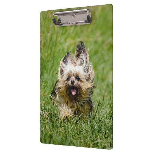 Porte-bloc Terrier Yorkshire mignon Traversant L'Herbe (Gauche)