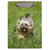 Porte-bloc Terrier Yorkshire mignon Traversant L'Herbe (Devant)