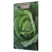 Porte-bloc Tête de choux bio frais (Gauche)