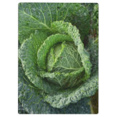 Porte-bloc Tête de choux bio frais (Dos)