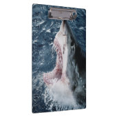 Porte-bloc Tête de grand requin blanc (Swatch)
