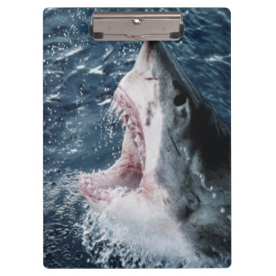 Porte-bloc Tête de grand requin blanc