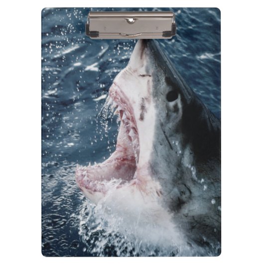 Porte-bloc Tête de grand requin blanc (Devant)