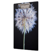 Porte-bloc Tête de semence Dandelion (Taraxacum Officinale) (Gauche)
