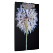 Porte-bloc Tête de semence Dandelion (Taraxacum Officinale) (Swatch)