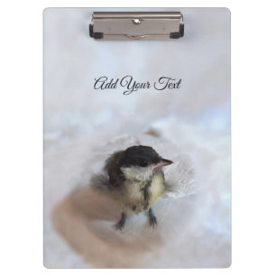 Porte-bloc Tidi my Bird le Parus Major