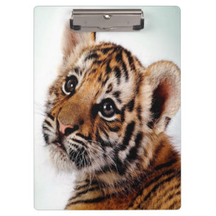 Porte-bloc Tiger Cub/Porte - bloc