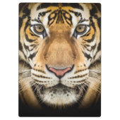 Porte-bloc Tigre (Dos)