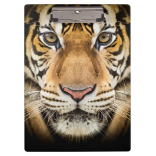 Porte-bloc Tigre