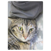 Porte-bloc Tigre (Dos)