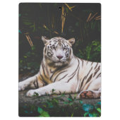 Porte-bloc Tigre (Dos)