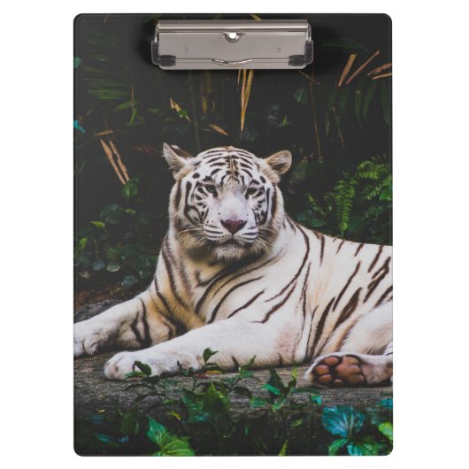 Porte-bloc Tigre (Devant)