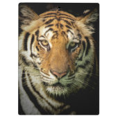 Porte-bloc tigre (Dos)