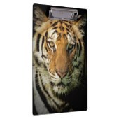 Porte-bloc tigre (Swatch)