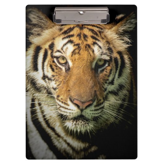 Porte-bloc tigre (Devant)