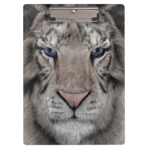 Porte-bloc Tigre blanc