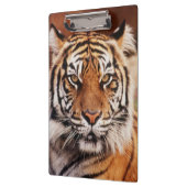 Porte-bloc Tigre de Sumatra (Gauche)