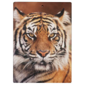 Porte-bloc Tigre de Sumatra (Dos)