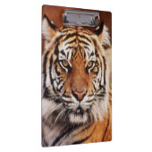 Porte-bloc Tigre de Sumatra (Swatch)