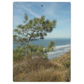 Porte-bloc Torrey Pine and California Coastline Landscape (Dos)