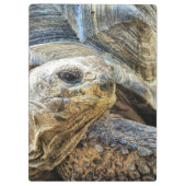 PORTE-BLOC TORTOISE (Dos)