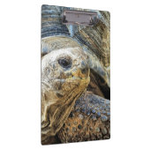 PORTE-BLOC TORTOISE (Swatch)