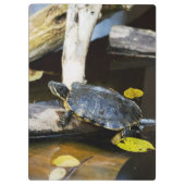 Porte-bloc Tortue de glisseur d'étang dans le sauvage (Dos)