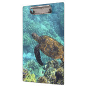 Porte-bloc tortue de mer (Gauche)