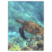 Porte-bloc tortue de mer (Dos)