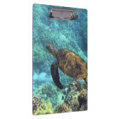 Porte-bloc tortue de mer (Swatch)
