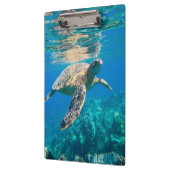 Porte-bloc Tortue de mer (Gauche)