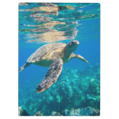 Porte-bloc Tortue de mer (Dos)