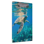 Porte-bloc Tortue de mer (Swatch)